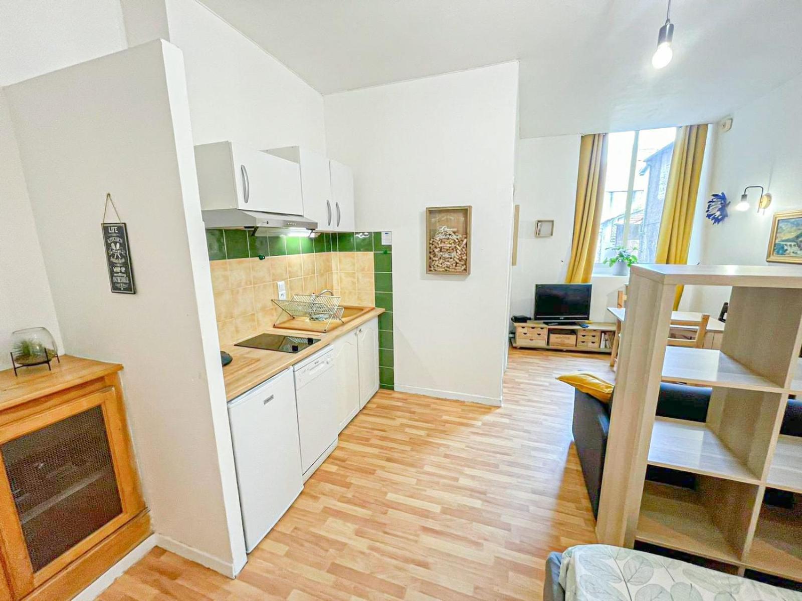 Appartement Cosy Apollo T1 Bis - Proche Chateau & Clemenceau Pau